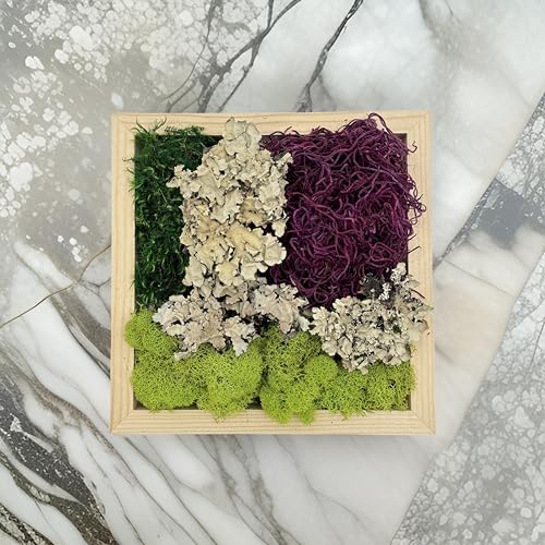 Quality Growers - The Moss Collection Variety Pack - Natural Decorative Moss - Crafts, Home Decor, Art, Design & DIY Projects - Non-Toxic - Made in USA - Red Mix, Medium - color: Red Mix, size: Medium