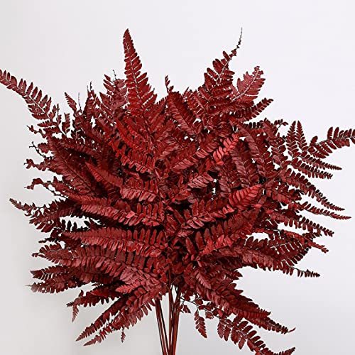 Preserved Real Green Ferns Dried Green Fern Tips Stems Wedding Garlands Home Decorations Bouquets Flower Arrangements Wall Hanging Dried (Red) - color: Red