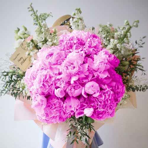 Coferset 5pcs Hydrangea Artificial Flowers Real Touch 20 inch Lifelike Hydrangea Flower for Home Wedding Office Party Living Room Decoration (Dark Fuchsia) - color: Dark Fuchsia
