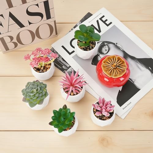 Artificial Succulents, Set of 6, White Plastic Pots | Small Fake Desk Plants, Realistic Succulent Plants, For Shelf Bedroom Balcony Windowsills Office Room Decor