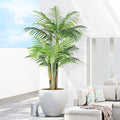 5ft Tall Triple Golden Cane Palm Artificial Tree Large Tropical Palm Tree UV Resistant Fake Plant in Pot for Indoor Outdoor Big House Living Room Outside Patio Office Home Decor 1Pack - size: 5ft