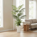 5FT Areca Palm Artificial Tree with LED Light, Tall White Pot, 3 Removable Grass Branches & Moss | Maintenance-Free Indoor Potted Plant (Areca Palm and Essentials (Tall Pot, Moss, 3 Grass Branches))