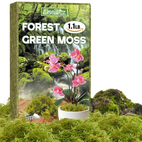 ZeeDix 1.1 lb Forest Moss for Plants Indoor - Dried Orchid Moss for Repotting, Natural Green Sphagnum Moss for Potted Plants Carnivorous Monstera Succulents Crafts Reptile Habitat (Expands to 25 qt) - color: 1.1LB