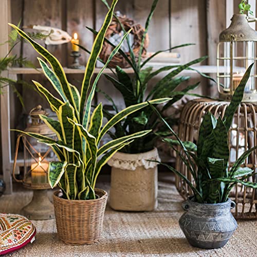 Beebel Artificial Snake Plant 22 Inch Fake Sansevieria Fake Agave Potted Plants Plastic Greenery for Home Garden Office Store Decoration 12 Leaves (Green) - color: Green