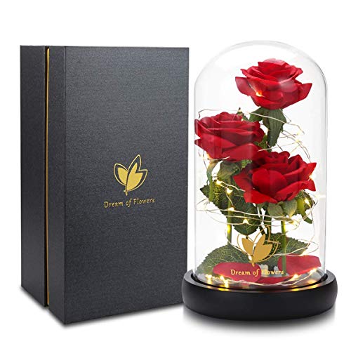 Beauty and The Beast Rose, Classic Red Rose with LED Lights and Falling Petals, Gifts for Women, Birthday Gifts for Women, Light Up Rose in Glass Dome, Valentine's Day Gifts for her - color: Classic Red