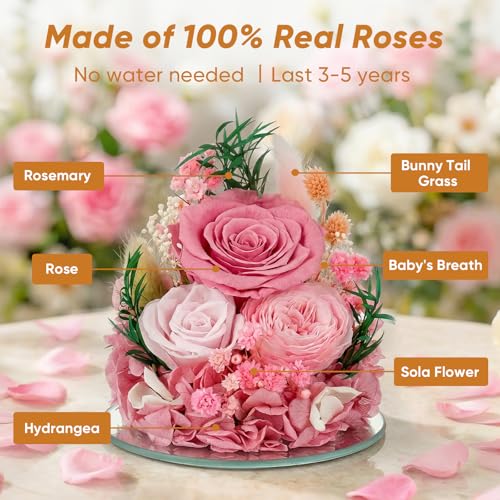 Preserved Rose in Glass Angel Figurine, Mothers Day Gifts for Mom/Wife/Grandma, Forever Flowers Rose Anniversary, Graduation or Birthday Gifts for Women Her - color: Pink