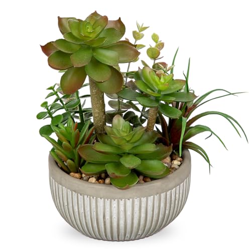 DILATATA Small Faux Plant Assorted Fake Succulents Plants Faux Succulents Arrangement Cement Potted Desk Plants Small Fake Plants for Home Table Office Bathroom Shelf Living Room Decor - color: Grey#01