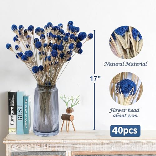 40 Pcs Natural Blue Dried Thistle Flowers Bouquet, Bulk Dried Craspedia Billy Balls Button Plant, 17'' DIY Floral Arrangements for Home Boho Kitchen Table Wedding Vase Decor