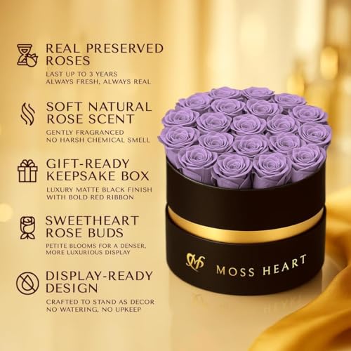 20 Mini Preserved Roses, Round Luxury Gift Box, Real Forever Roses Last 1+ Year, Premium Romantic Gift for Women, Wife, Girlfriend, Mother’s Day, Birthday, Anniversary, Valentine’s Day - color: Purple, size: 20 Roses