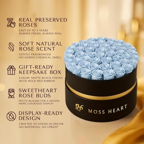 50 Petite Preserved Roses, Designer Round Box, Real Forever Roses Last 1+ Year, Premium Gift for Women, Wife, Girlfriend, Mother’s Day, Birthday, Anniversary, Valentine’s Day - color: Light Blue, size: 50 Roses