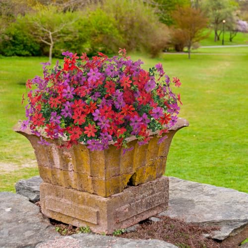 ADXORA 12 Bundles Outdoor Artificial Flowers Faux Silk Flower Daisy UV Resistant Flowers for Garden Patio Porch Window Box Fake Flowers Outdoor Indoor Decor - color: Purple,red
