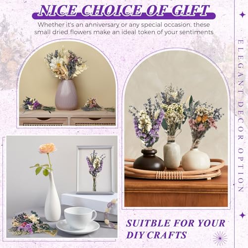 Layhit 12 Pcs Boho Dried Flower Bouquet Mini Wedding Handmade Dry Flowers Decor for Vase Crafts DIY Photo Boutonniere for Men Floral Plant for Bridesmaid Gift Birthday Decor(Romantic) - style: Lavender