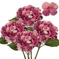 DILATATA 4 Pcs Dried Touch Hydrangeas Artificial Flowers 17" Tall Large Silk Hydrangea Stems Fake Hydrangea Arrangements for Home Office Table Centerpieces-Purple Hydrangea - color: Bashful Pink, size: 4PCS