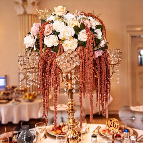 Suncalla 12 Pcs Brown Spring Natural Dried Amaranthus Hanging Flowers Amaranthus Artificial Flowers for Wedding Arch Bouquet Floral Garland Wall Home Decoration (23 Inch) - color: Brown