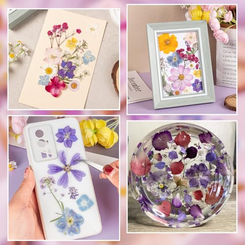 80PCS Spring Large Pressed Flowers Leaves , Real Nature Dry Flowers for Resin Craft, Larage Pressing Floral with Tweezers Set for DIY Jewelry Making Nail Card Scrapbook Art - size: Vintage
