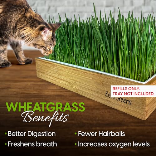 Cat Grass Refills for Self Watering Cat Grass Kit - 4 Mats and 4 Cat Grass Seed Packets (Refill Kit) - color: Cat Grass Refill Kit