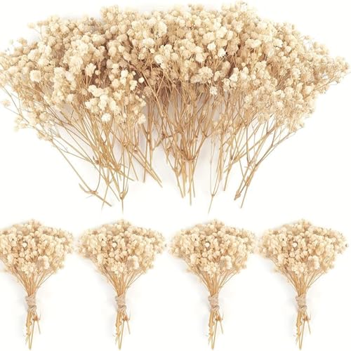 120 Pcs Mini Dried Baby Breath Flowers Gypsophila Ivory Flowers Dried Flowers for Vase Wedding Home Office Party Garden Card Making Decor Wreath Floral Craft DIY Art (White) - color: White