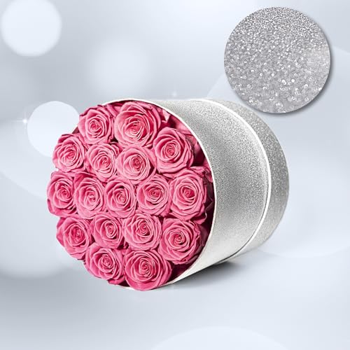 Prifroti 17 Pink Flowers in Glitter Box, Birthday Gifts for Women, Preserved Flowers, Mothers Day Roses Gift for Mom - color: Pink | Glitter Box, size: 17 Roses