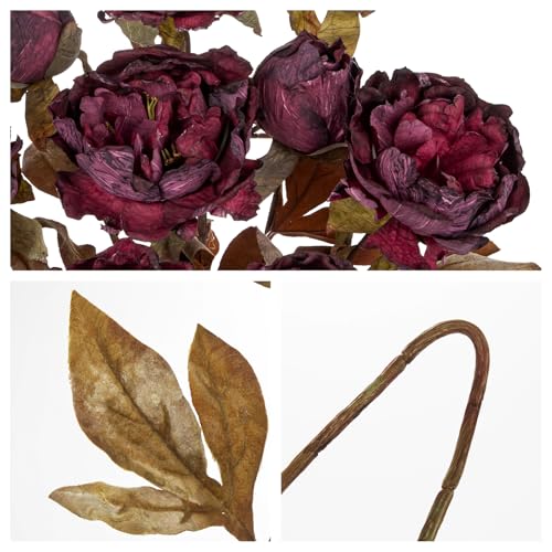 Briful Artificial Dried Look Fall Peony Flowers 3PCS 27.5in Tall Dark Purple Vintage Silk Peony Bouquet Realistic Fake Peonies Floral Stems for Autumn Home Wedding Vase Centerpieces Arrangements Decor - color: Dark Purple