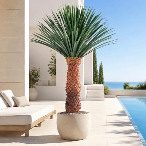 6FT Artificial Agave Plant in Black Pot Tall Faux Agave Floor Plant with Removable White Coating, Fake Yucca Look Plant for Indoor Outdoor Front Porch Patio Home Office Hotel Desert Style Decor - color: Agave Plant 71in