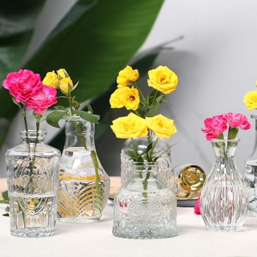 Vintage Glass Bud Vases Bulk 30 Pack|Small Clear Flower Vases for Wedding Decor, Centerpiece Table Decorations, Rustic Home & Party Decor (Transparent)
