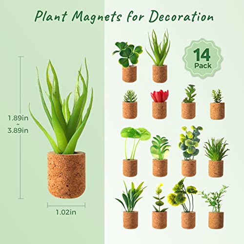 Joyibay Plant Fridge Magnets Mini Succulent Magnets Artificial Plants Refrigerator Magnets Potted Succulent Plants Magnet Stickers Cute for Magnet Boards Fridge Home Office Decor