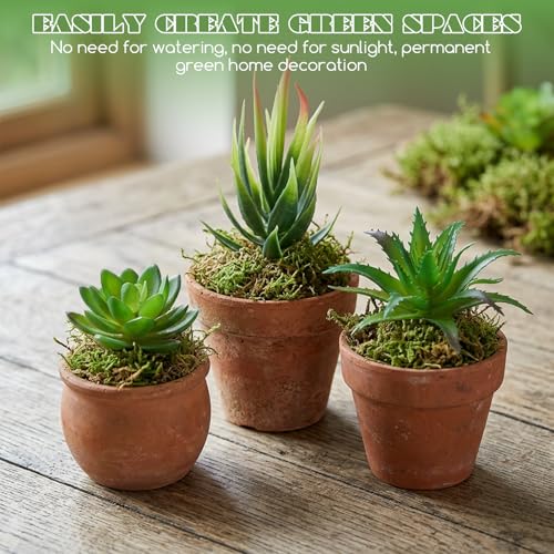 Styquenzer 6 PCS Fake Succulent Plants, Artificial Succulents Plant Mini Fake Succulents Plant Green Succulent Plants for DIY Crafting Home Floral Wall Office Decoration (Excluding Pots)