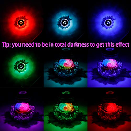 Preserved Real Roses with Colorful Mood Light Wishing Bottle,Eternal Rose，Never Withered Flowers,for Bedroom Party Table Decor, Christmas Anniversary,Valentine's,Mother's Day, (Multi) - color: Multi Color