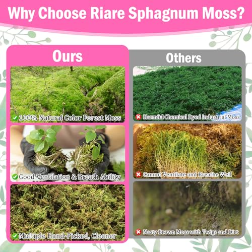Riare 4.4LBS Premium Sphagnum Moss for Plants- 80QT Natural Dried Plant Moss for Potted Plants, Orchid Moss for Repotting, Soft Green Decorative Moss for Succulents, Reptiles & DIY Crafts - color: 80 QT(Appx.4.4lbs)