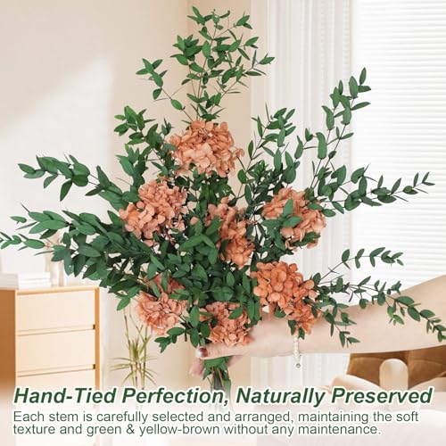 Hand-Tied Preserved Eucalyptus and Hydrangea Bouquet, 5-7 Stems Rustic Yellowish Brown and Green Natural Dried Flowers for Home Table Decor, Wedding Centerpiece, Fall Holiday Decorations