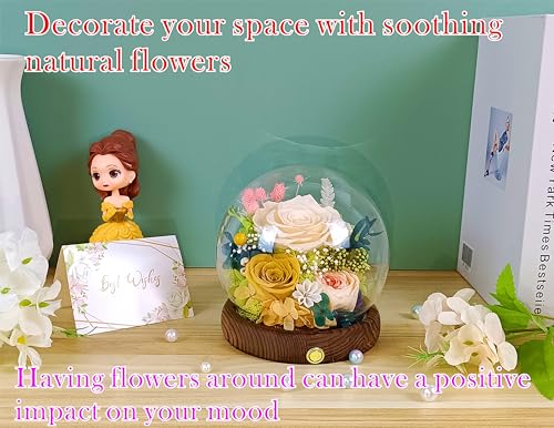 Valley of Rain & Forest Long-Lasting Real Flowers, Unique Floral Gift for You to Send Love for All Occasions, for Indoor Decoration (Champagne & Yellow Roses Arrangement) - color: Champagne Rose, Yellow Rose, Yellow Austin Rose