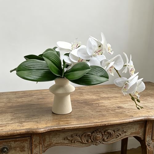 M2cbridge Artificial Green Orchid Leaves Phalaenopsis Stems Real Touch for Flowers Arrangements Pot Decor(10",6pcs) - color: 10",6pcs