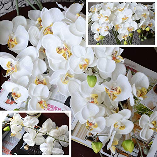 FagusHome 31" Artificial Silk Phalaenopsis Flowers 3 Pcs with 2 Bundles Leaves Artificial Orchid Flowers Stem Plants in Fake Butterfly Phalaenopsis Flowers for Home Wedding Party Décor (White)