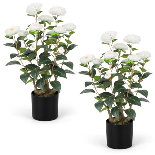 Romantic Season 2FT White Artificial Camellia Tree 2Pack, Faux Camellia Plant Fake Potted Camellia Flower Tree Plastic Camellia Tree for Modern Home Office Living Room Floor Décor - color: White, size: 2FT