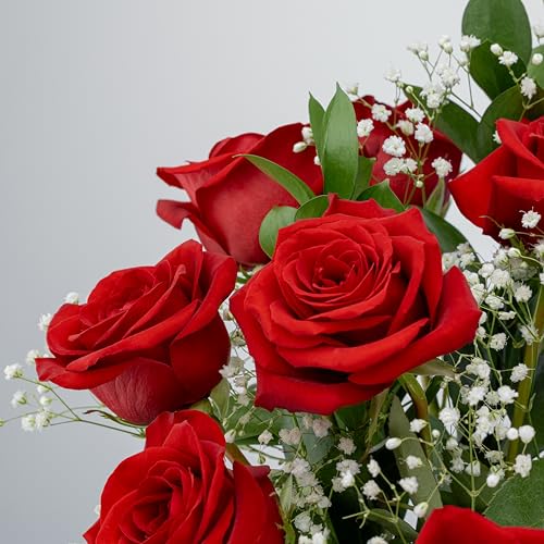 Benchmark Bouquets - Red Roses Bouquet - Fresh Flowers for Delivery - Mothers Day Flowers - One Dozen Long Stem Roses - Real Roses - Mothers Day Gifts for Mom (Glass Vase Included) - style: Original