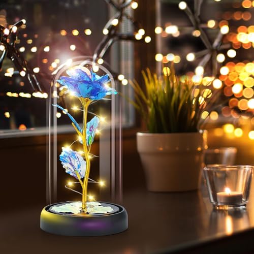 Otlonpe Mothers Day Flowers Gifts for Mom from Daughter Son, Preserved Forever Glass Light Up Rose Gifts for Grandma Wife Women Girlfriend Sister, Teacher Appreciation Graduation Gift for Her (Blue) - color: Blue