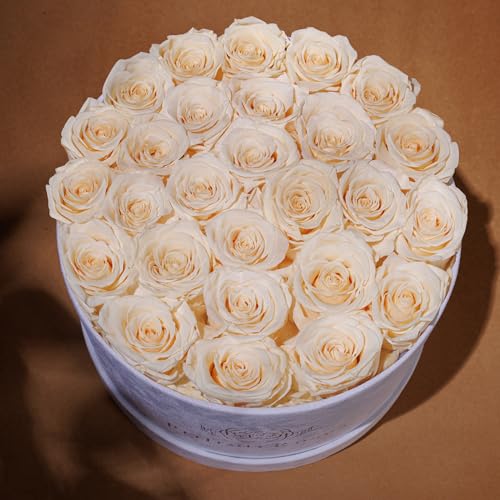 Prifroti 27 Flowers in a Luxury Suede Box, Birthday Gifts for Women, Preserved Flowers, Mothers Day Roses Gift for Mom, Champagne - color: Champagne, size: 27 Roses