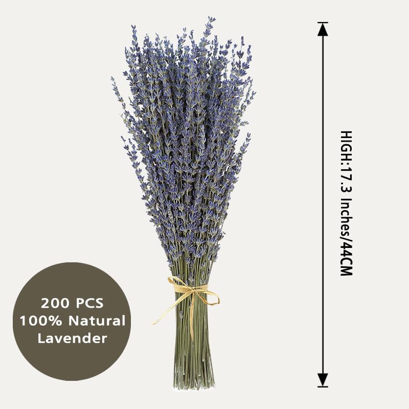 Dried Lavender 2 Bunches 100% Fresh Natural Purple Bouquet Flowers for Bathroom Photo Props Crafts Decoration, 15-17" for Shower Weeding Vase Decor, Home Fragrance(200-220 Stems(100g/3.5oz Total)) - size: 2 Bunches Lavender