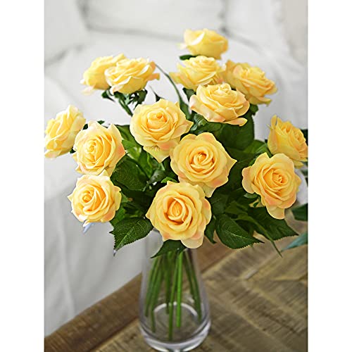 FiveSeasonStuff Fake Roses Wedding Flowers Real Touch Silk Apricot Orange Artificial Flowers 12 Stems - color: Apricot Orange