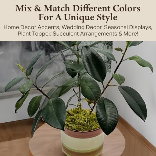 Preserved Spanish Moss - Decorative Dried Moss for Crafts, Home Decor, Art, Design & DIY Projects - for Indoor Use - Chartreuse - Medium Size - color: Chartreuse, size: Medium