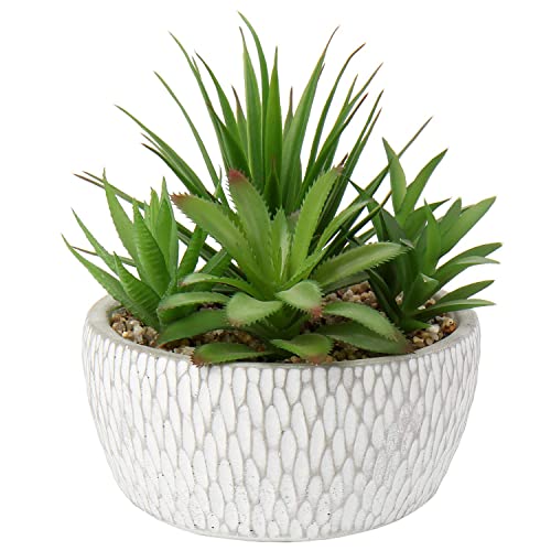 Briful Small Fake Plants Assorted Faux Succulents in Pots Realistic Succulents Plants Artificial with Cement Pots for Home Table Office Desk Bathroom Shelf Living Room Decor - color: Succulent #01