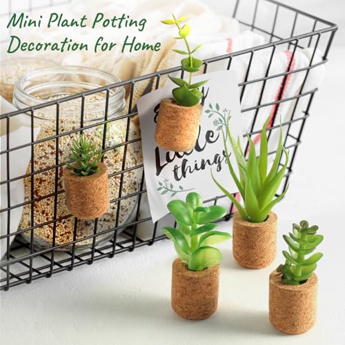 Joyibay Plant Fridge Magnets Mini Succulent Magnets Artificial Plants Refrigerator Magnets Potted Succulent Plants Magnet Stickers Cute for Magnet Boards Fridge Home Office Decor