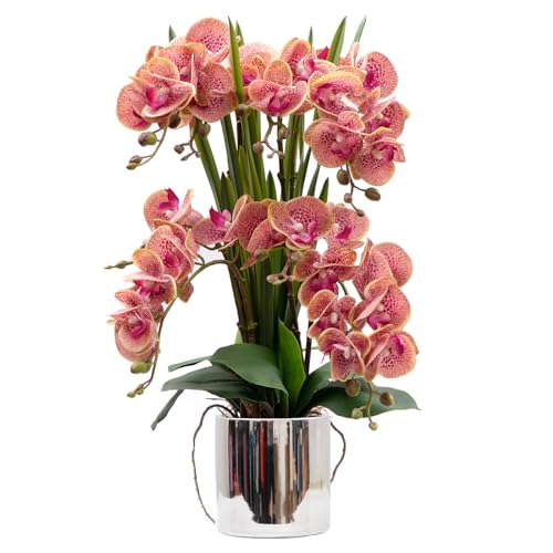 CXGS Artificial Orchid Flower Plants Real Touch Faux Orchids in Ceramic Vase 20.9'' Purple Dapple Phalaenopsis Orchid Fake Flower Arrangement Home Indoor Decor - color: Purple Dapple- Silver (12cm)