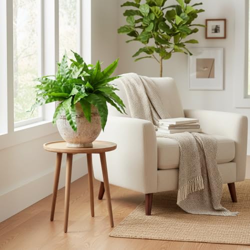 3pcs Artificial Bird's Nest Fern, 27.5" Wide Large Faux Fern Plants (45 Leaves Total), UV Resistant Fake Greenery for Window Box, Planter, Outdoor Porch, Patio & Indoor Home Office Decor