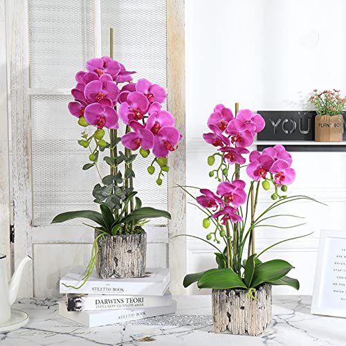 FagusHome 8 Pcs Artificial Phalaenopsis Flowers 32 Inch Artificial Orchid Flowers Fake Flowers Stem Plants for Home Décor (Purple) - color: Purple