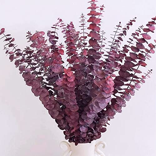 16 Pcs Dried Fall Eucalyptus Stems Red, Christmas Burgundy Dried Flowers for Vase, Home Decor, Real Eucalyptus Orange Brown, Eucalyptus Plant, 17" Fall Floral Stems Decorations Arrangement