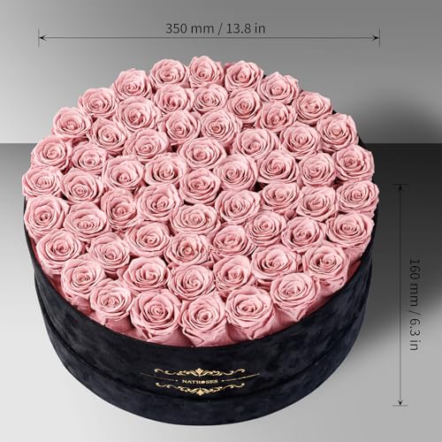 Gifts for Women – NATROSES 60 Preserved Roses in Luxury Black Velvet Box, Preserved Flowers for Delivery Gift for Her, Elegant Rose for Birthday, Mother’s Day, Christmas (Dusty Rose) - color: Dusty Rose, size: 60 Roses