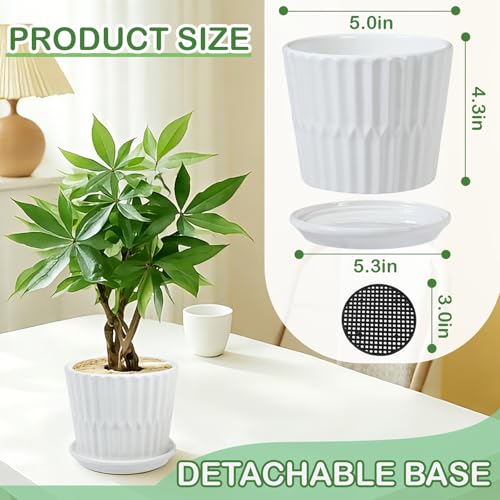sietpoek Plant Pots - 5.5 Inch Cylinder Ceramic Planters with Connected Saucer, Pots for Succuelnt and Little Snake Plants, Set of 4, White - size: 5.5 Inch
