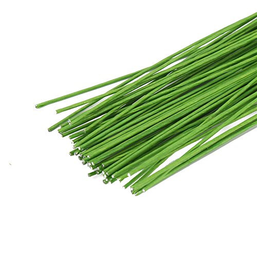 Decora 24 Gauge Green Floral Wire Green Paper-Wrapped Floral Stem Wires for Crafts 16 inch,50/Package - color: green