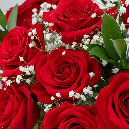 Benchmark Bouquets - Red Roses Bouquet - Fresh Flowers for Delivery - Mothers Day Flowers - One Dozen Long Stem Roses - Real Roses - Mothers Day Gifts for Mom (Glass Vase Included) - style: Original